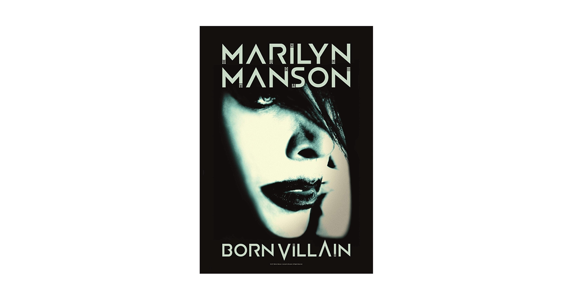 MARILYN MANSON 　　　BORN VILLAIN 　入手困難ポスター MARILYN MANSON BORN VILLAIN 入手困難ポスター MARILYN MANSON